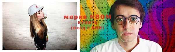крисы Коряжма