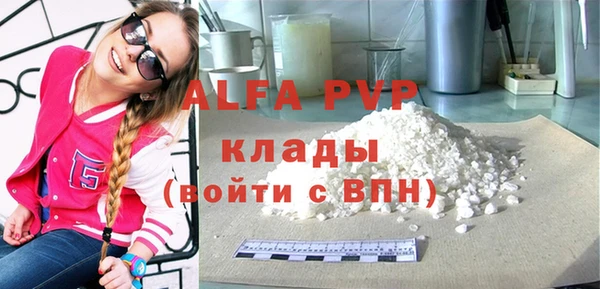 крисы Коряжма