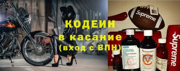 крисы Коряжма