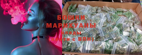крисы Коряжма