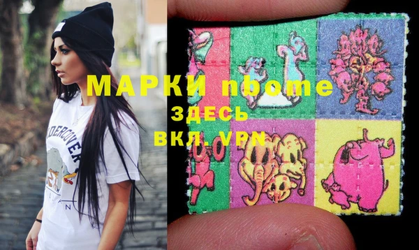 крисы Коряжма