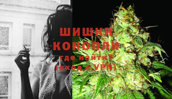 крисы Коряжма
