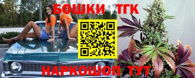 индика Беслан