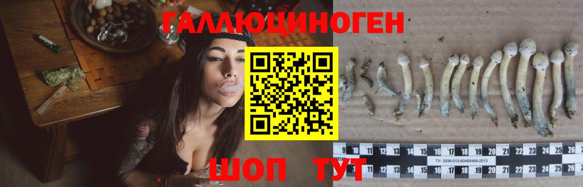Псилоцибиновые грибы ЛСД  Вход с VPN  Керчь 